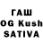 Галлюциногенные грибы GOLDEN TEACHER RedFull