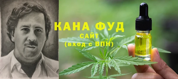 МДПВ Абаза