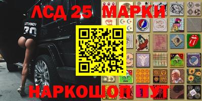 PSILOCYBIN Кунгур