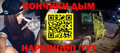 индика Кулебаки