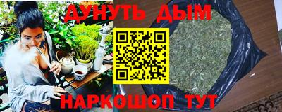 индика Кулебаки